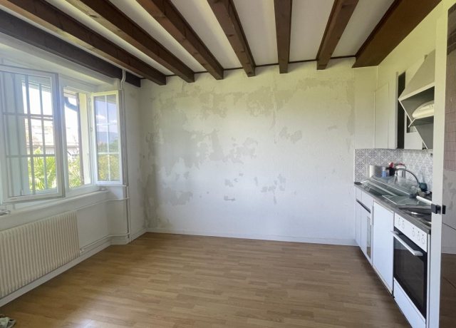 Studio à deux pas du Château de Prangins - photo 2