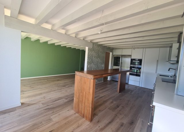 Charmant duplex de 3.5 pièces avec jardin - photo 3