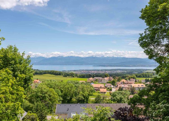Villa inidividuelle avec vue sur le lac et les Alpes - photo 7