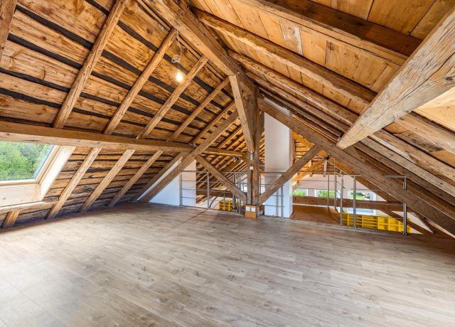 Superbe attique avec mezzanine à St-Cergue - photo 6