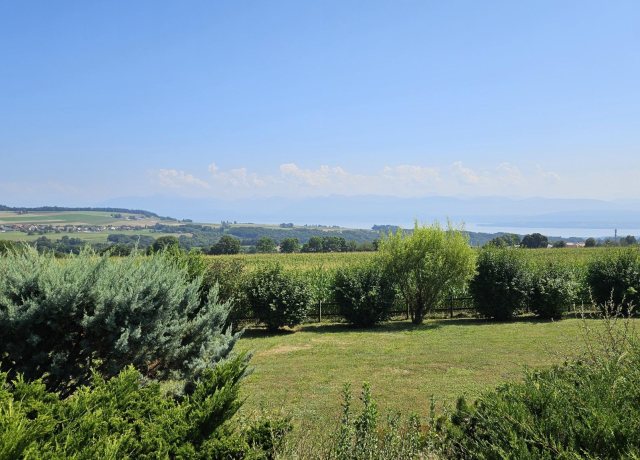 Maison individuelle avec beau terrain vue lac et Alpes - photo 3