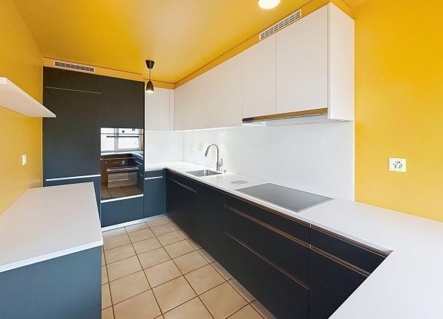 Duplex en attique de 5,5 piÃ¨ces Ã  Bursinel - photo 3