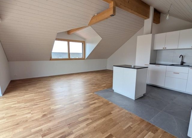 Bel appartement de 4.5 piÃ¨ces en duplex dans une magnifique maison rÃ©novÃ©e - photo 3